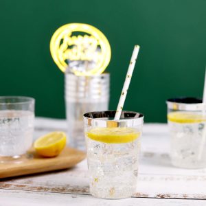 25-Pack Plastic Tumbler Cups 10oz Clear with Silver Rim - Disposable Crystal Drinking Glasses for Parties - Pack of 25 Cups